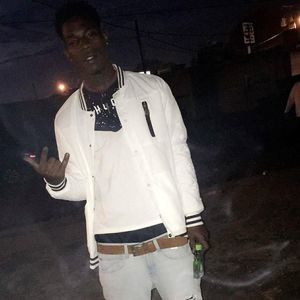 Meet your Posher, Coodog